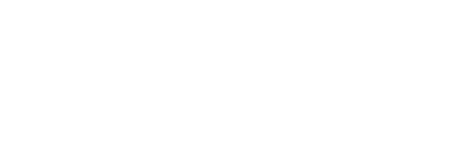 SA Votes Logo - White