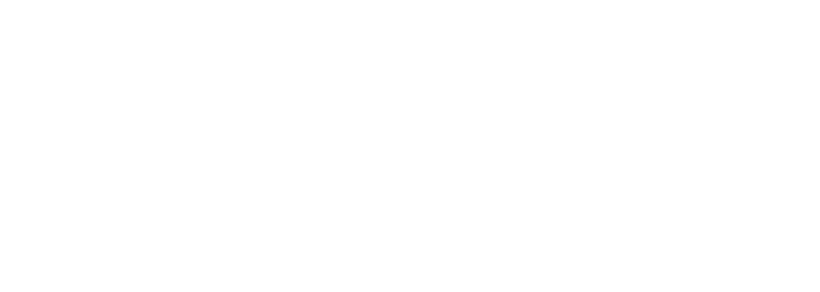 SA Votes Logo - White